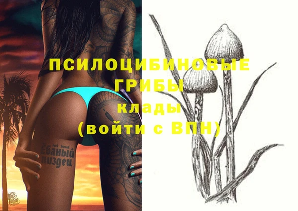 не бодяженный Коряжма