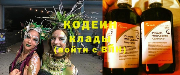 стаф Костерёво