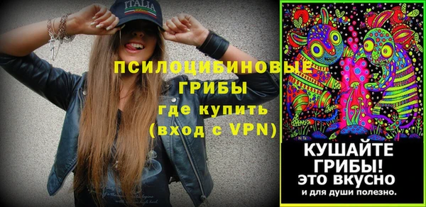не бодяженный Коряжма
