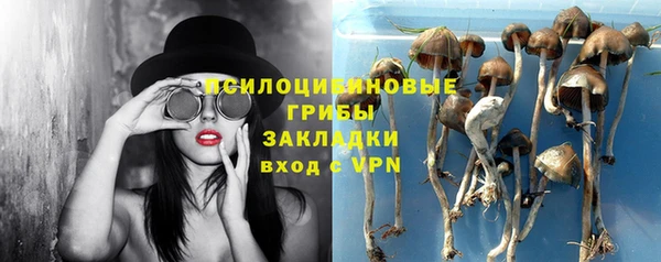 стаф Костерёво