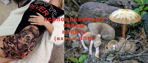 не бодяженный Коряжма