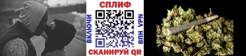 Купить где  Балтийск  Канабис ГИДРОПОН 